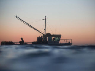 Buoy